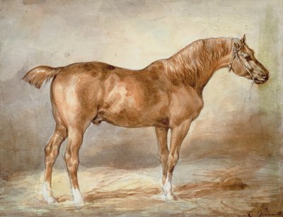 A Docked Chestnut Horse by Theodore Gericault